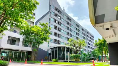 ขาย - Elio Sukhumvit 64 : เอลลิโอ สุขุมวิท 64, กรุงเทพ