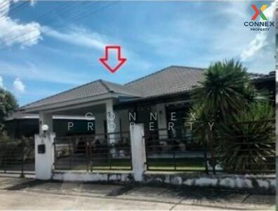 ขาย - สายลมเย็น ดาหลา Sailomyen Dahla, ระยอง