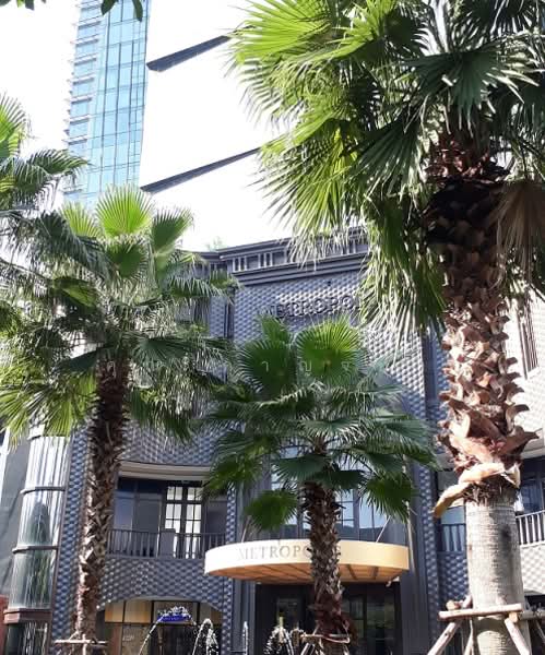 ออฟฟิศเพลินจิต สุขุมวิท พระโขนง ราคาเริ่ม 400 บ/ตรม. ขนาด 10 ตรม.ขึ้นไป, Bangkok, ปทุมวัน, วัฒนา, เพลินจิต, สุขุมวิท, อโศก, พระโขนง, Chom Thong, Chom Thong, Bangkok, , 70 sqm, Office Space For Rent, by คุณ กาญจนา, 60022422 - DDproperty.com