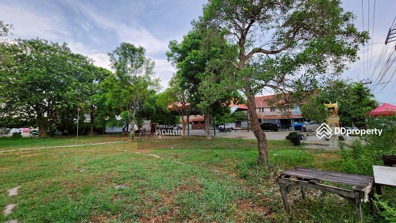 ขาย - บ้านพฤกษา พนาลี 36 : Baan Pruksa Panalee 36, ฉะเชิงเทรา