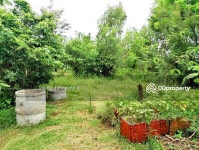 ขาย - ที่ดินท่าบ่อ หนองคาย, หนองคาย