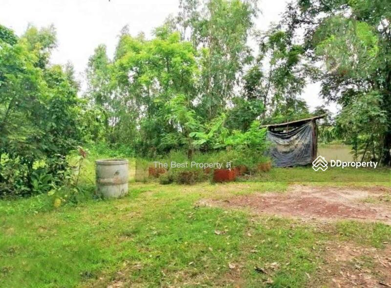ขาย - ที่ดินท่าบ่อ หนองคาย, หนองคาย