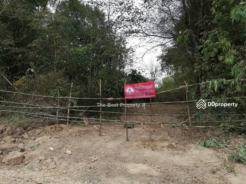 ขาย - ที่ดินท่าบ่อ หนองคาย, หนองคาย