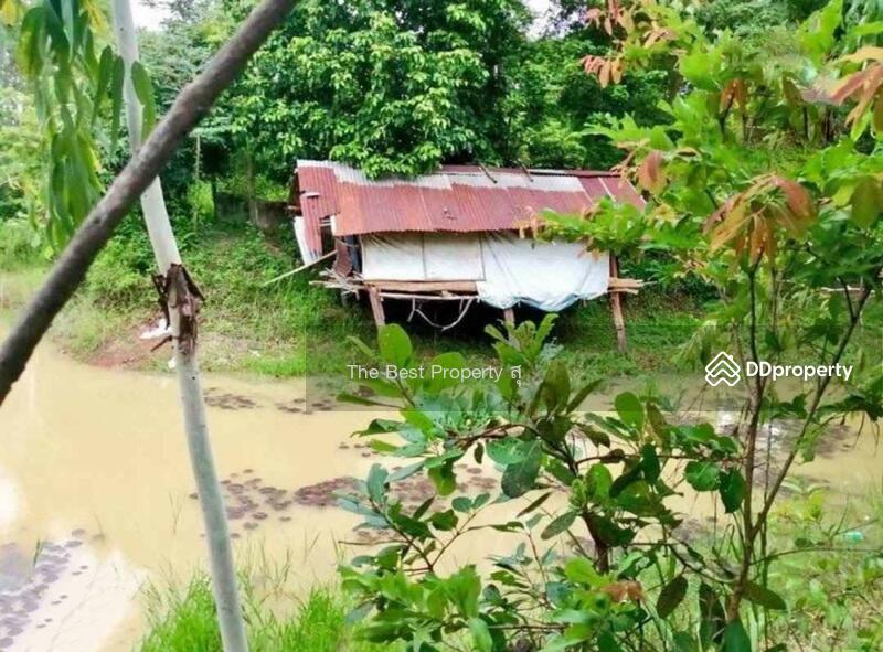 ขาย - ที่ดินท่าบ่อ หนองคาย, หนองคาย