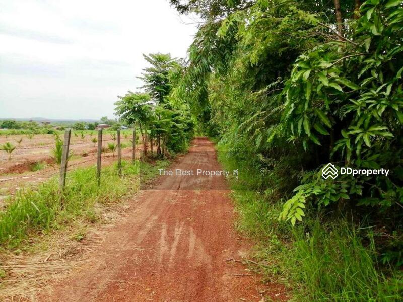 ขาย - ที่ดินท่าบ่อ หนองคาย, หนองคาย