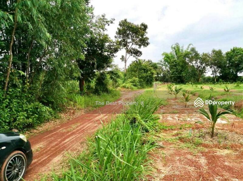 ขาย - ที่ดินท่าบ่อ หนองคาย, หนองคาย