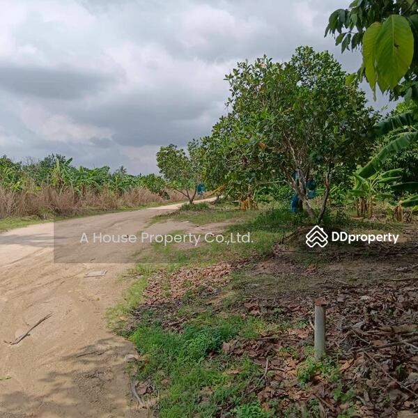 For Sale - Land for sale in Bo Win, Sriracha, near the Eastern Seaboard, Chon Buri