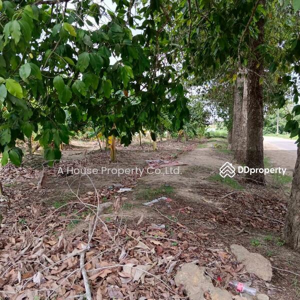 For Sale - Land for sale in Bo Win, Sriracha, near the Eastern Seaboard, Chon Buri