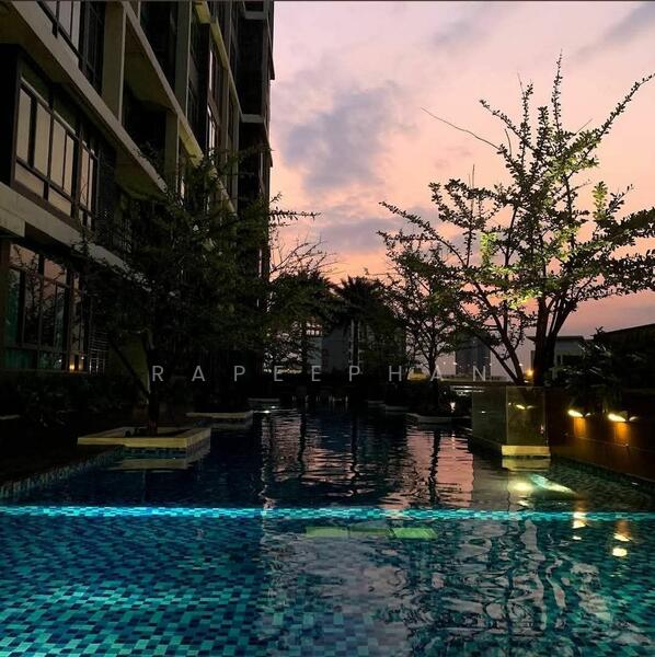 IDEO Blucove Sukhumvit, Bangkok, 2952 Sukhumvit Road, Bang Na, Bang Na, Bangkok, 1 Bedroom, 27 sqm, Condo For Rent, by rapeephan, 60023243 - DDproperty.com