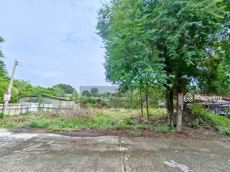 ขาย - ที่ดินบ้านโพธิ์ ฉะเชิงเทรา, ฉะเชิงเทรา