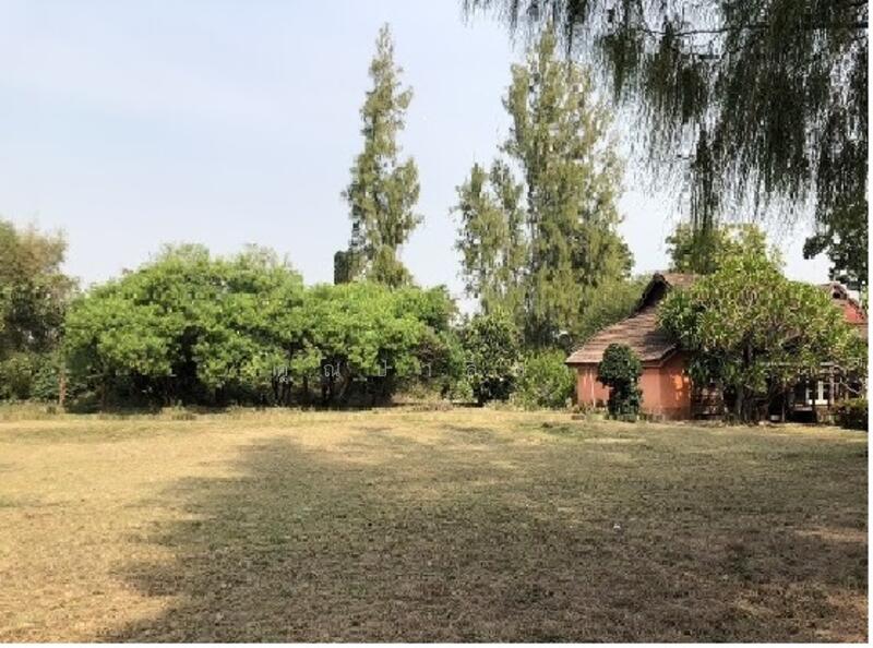 29/1 โครงการ ที อาร์ เอ็ม, Lamphun, Ban Hong, Lamphun, , 218,390 sqm, Land For Sale, by คุณปาลิดา, 60023637 - DDproperty.com