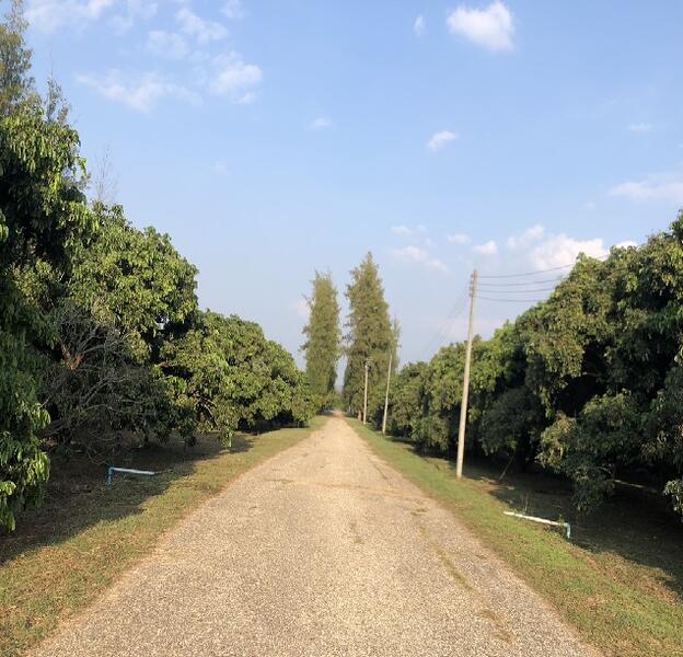 29/1 โครงการ ที อาร์ เอ็ม, ลำพูน, บ้านโฮ่ง, ลำพูน, 218,390 ตร.ม., ที่ดิน ขาย, โดย คุณปาลิดา, 60023637 - DDproperty.com