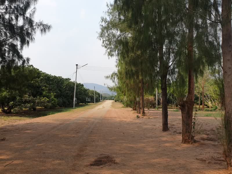 29/1 โครงการ ที อาร์ เอ็ม, Lamphun, Ban Hong, Lamphun, , 218,390 sqm, Land For Sale, by คุณปาลิดา, 60023637 - DDproperty.com