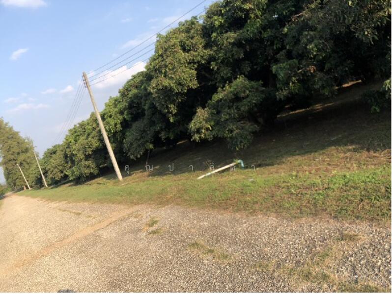 29/1 โครงการ ที อาร์ เอ็ม, ลำพูน, บ้านโฮ่ง, ลำพูน, 218,390 ตร.ม., ที่ดิน ขาย, โดย คุณปาลิดา, 60023637 - DDproperty.com