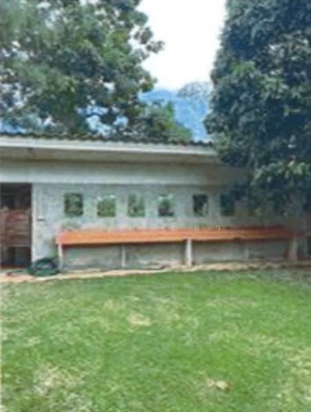 29/1 โครงการ ที อาร์ เอ็ม, Lamphun, Ban Hong, Lamphun, , 218,390 sqm, Land For Sale, by คุณปาลิดา, 60023637 - DDproperty.com