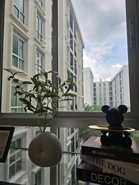 Plum Condo Chaengwattana Station Phase 2 : พลัมคอนโด แจ้งวัฒนะ สเตชั่น เฟส 2, กรุงเทพ, ซอยแจ้งวัฒนะ 1 แยก 1, ตลาดบางเขน, หลักสี่, กรุงเทพ, 46 ตร.ม., คอนโด ขาย, โดย Connex Property, 60024874 - DDproperty.com