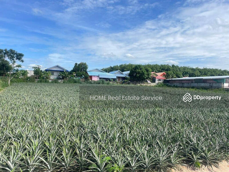 For Sale - ที่ดินพร้อมโกดัง 2 ไร่ มาบยางพร, Rayong