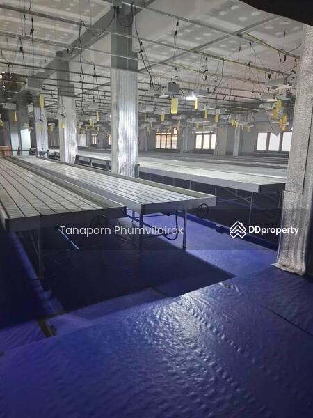 For Rent - Ram Inthra, Bangkok