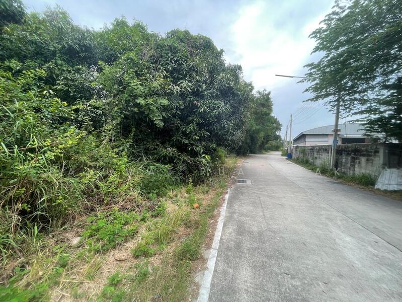 ขาย - ใกล้มอเตอร์เวย์ เมืองชลบุรี หนองข้างคอก, ชลบุรี