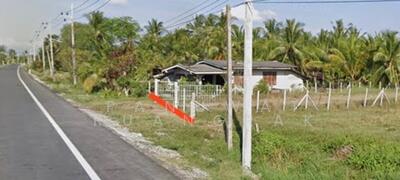 ขาย - สวนปาล์ม เมืองนครศรีธรรมราช, นครศรีธรรมราช