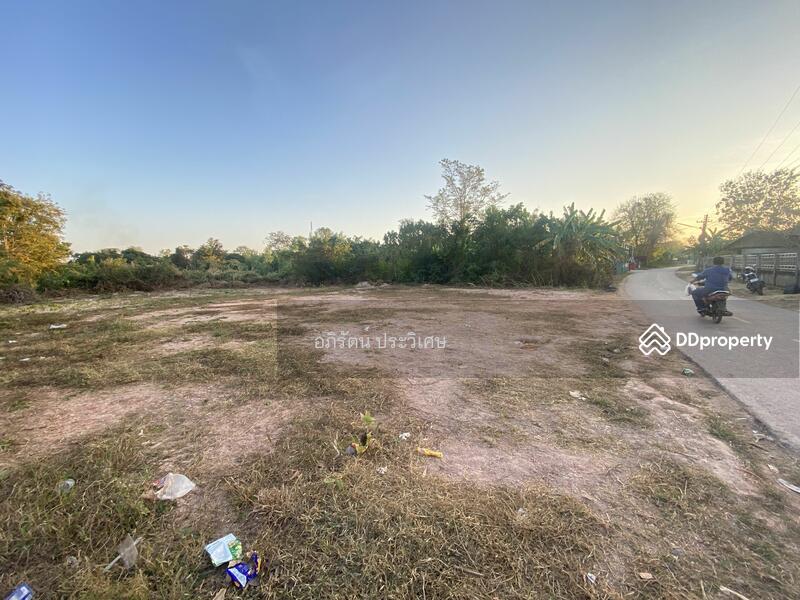 ขาย - ขายที่ดินเปล่า อยู่บ้านหนองไผ่, หนองคาย
