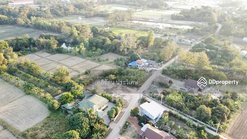 ขาย - ขายที่ดินเปล่า อยู่บ้านหนองไผ่, หนองคาย