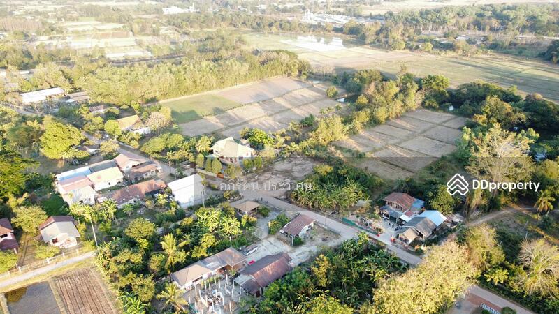 ขาย - ขายที่ดินเปล่า อยู่บ้านหนองไผ่, หนองคาย