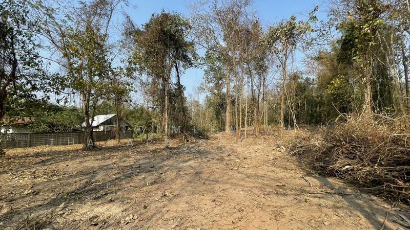 Mae Rim Land for Sale – Nearly 3 Rai, 250m from Highway, Chiang Mai, Mae Ram, Mae Rim, Chiang Mai, , 4,297 sqm, Land For Sale, by Pipimleasaa Thanapaisarnvorakul, 60026016 - DDproperty.com