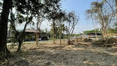 ขาย - ขายที่ดินแม่ริม เชียงใหม่ เกือบ3ไร่ 250 ม. จากทางหลวง โซนท่องเที่ยวธรรมชาติ รีสอร์ท4-5ดาว ราคาดีมาก, เชียงใหม่