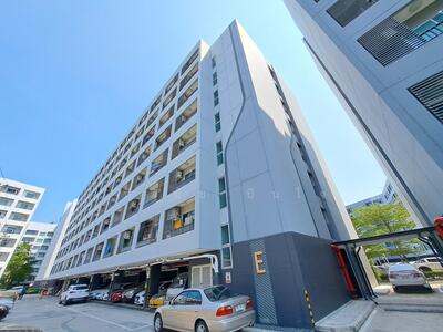 ขาย - Elio Del Ray : เอลิโอ เดล เรย์, กรุงเทพ