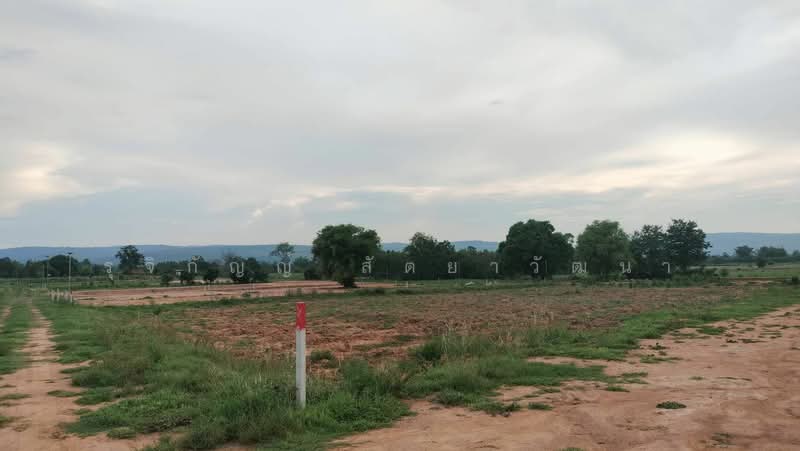 Land for sale 1-10 rai Pakthongchai district, Nakornratchasima Province, Nakhon Ratchasima, Bo Pla Thong, Pak Thong Chai, Nakhon Ratchasima, , 1,600 sqm, Land For Sale, by รุจิกัญญ์ สัตยาวัฒนา, 60026676 - DDproperty.com