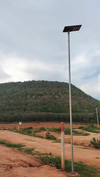 Land for sale 1-10 rai Pakthongchai district, Nakornratchasima Province, Nakhon Ratchasima, Bo Pla Thong, Pak Thong Chai, Nakhon Ratchasima, , 1,600 sqm, Land For Sale, by รุจิกัญญ์ สัตยาวัฒนา, 60026676 - DDproperty.com