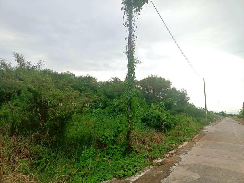 ขาย - ที่ดินเปล่า ซ.วัดอัยยิการาม ถ.รังสิต-นครนายก คลอง 9 ต.ลำผักกูด อ.ธัญญบุรี จ.ปทุมธานี, ปทุมธานี