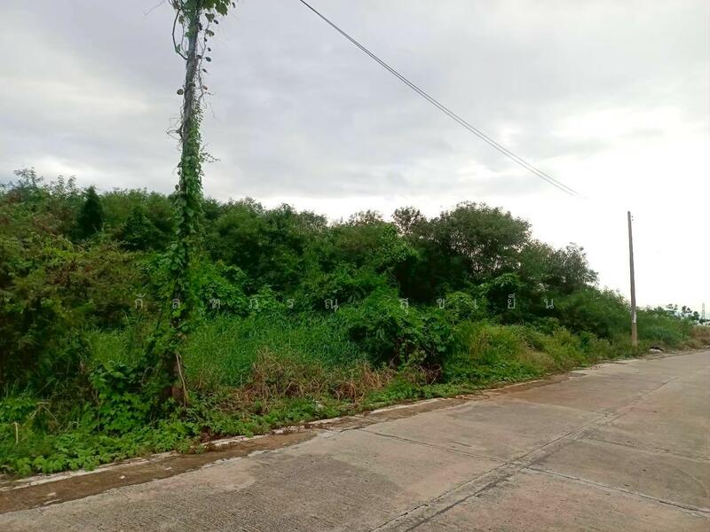 ขาย - ที่ดินเปล่า ซ.วัดอัยยิการาม ถ.รังสิต-นครนายก คลอง 9 ต.ลำผักกูด อ.ธัญญบุรี จ.ปทุมธานี, ปทุมธานี