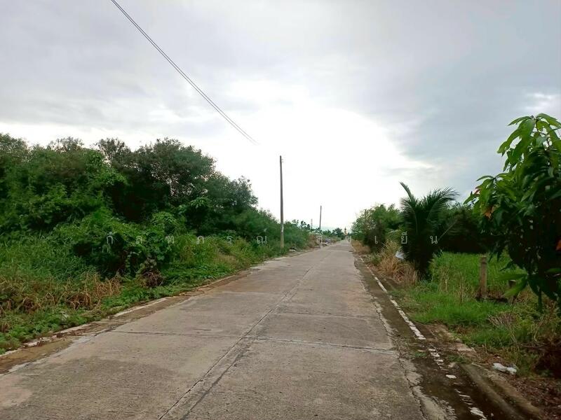 ขาย - ที่ดินเปล่า ซ.วัดอัยยิการาม ถ.รังสิต-นครนายก คลอง 9 ต.ลำผักกูด อ.ธัญญบุรี จ.ปทุมธานี, ปทุมธานี