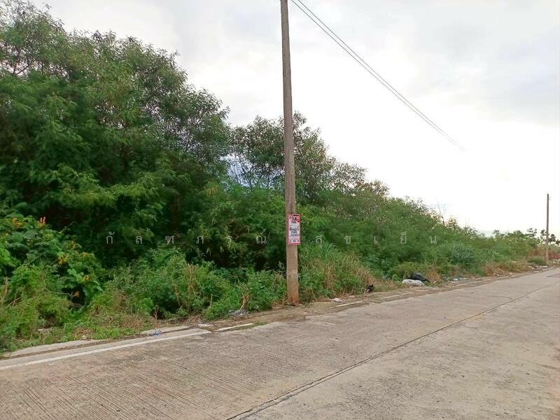 ขาย - ที่ดินเปล่า ซ.วัดอัยยิการาม ถ.รังสิต-นครนายก คลอง 9 ต.ลำผักกูด อ.ธัญญบุรี จ.ปทุมธานี, ปทุมธานี