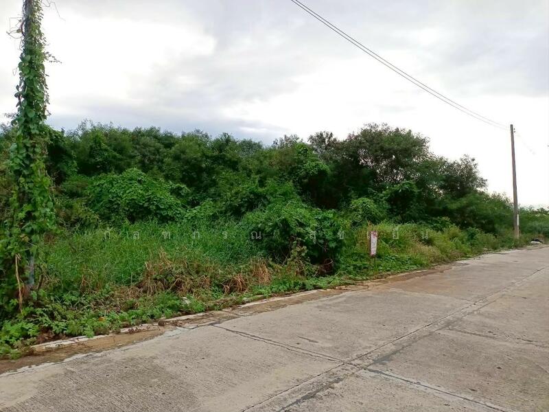 ขาย - ที่ดินเปล่า ซ.วัดอัยยิการาม ถ.รังสิต-นครนายก คลอง 9 ต.ลำผักกูด อ.ธัญญบุรี จ.ปทุมธานี, ปทุมธานี