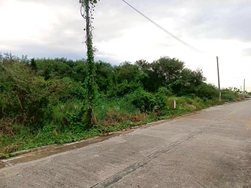 ขาย - ที่ดินเปล่า ซ.วัดอัยยิการาม ถ.รังสิต-นครนายก คลอง 9 ต.ลำผักกูด อ.ธัญญบุรี จ.ปทุมธานี, ปทุมธานี