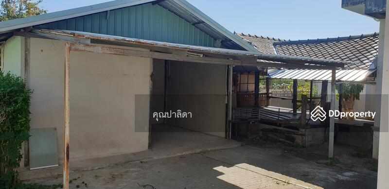 ขาย - 199/3 ม.2 ยางเนิ้ง, เชียงใหม่