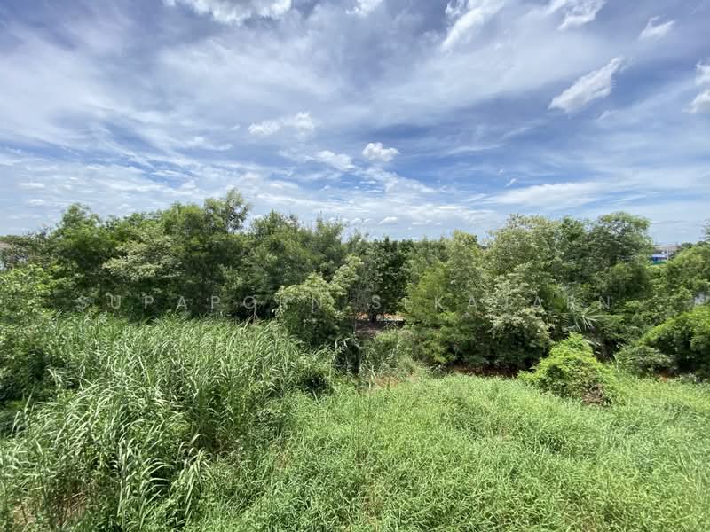 บ้านแฝดสไตล์บ้านเดี่ยว โครงการรุ่งเรืองวิลล่า คลอง 3 ปทุมธานี, Pathum Thani, Lat Sawai, Lam Luk Ka, Pathum Thani, 4 Bedrooms, 150 sqm, Single Detached House For Rent, by Supaporn Sekajarn, 60027158 - DDproperty.com
