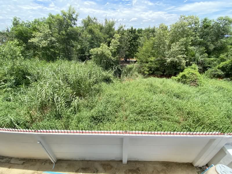บ้านแฝดสไตล์บ้านเดี่ยว โครงการรุ่งเรืองวิลล่า คลอง 3 ปทุมธานี, Pathum Thani, Lat Sawai, Lam Luk Ka, Pathum Thani, 4 Bedrooms, 150 sqm, Single Detached House For Rent, by Supaporn Sekajarn, 60027158 - DDproperty.com