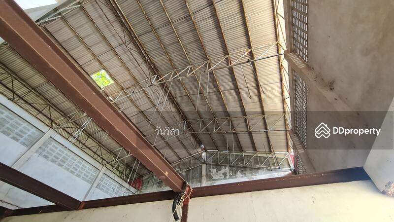 ขาย - ถนนอนุสรณ์อาจารย์ทอง ตำบลหาดใหญ่ อำเภอหาดใหญ่ จังหวัดสงขลา, สงขลา