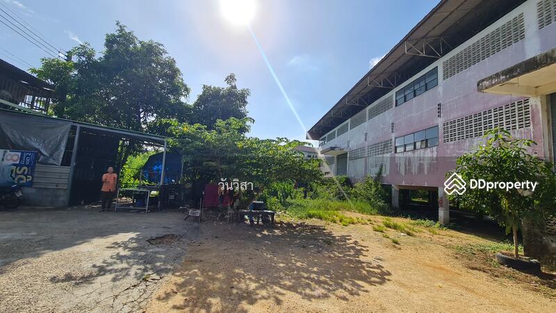 ขาย - ถนนอนุสรณ์อาจารย์ทอง ตำบลหาดใหญ่ อำเภอหาดใหญ่ จังหวัดสงขลา, สงขลา