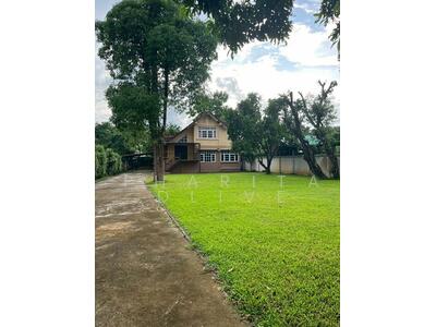 ขาย - ต.ฟ้าฮ่าม อ.เมือง จ.เชียงใหม่, เชียงใหม่