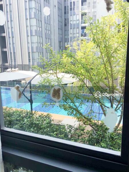 ให้เช่า - Moniiq Sukhumvit 64 : โมนีคสุขุมวิท64, กรุงเทพ