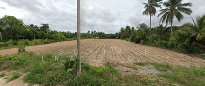 ขาย - ขาย ที่ดิน 11 ไร่ 278 ตร.ว. ทำเลดี ในเขาคันทรง ศรีราชา ชลบุรี, ชลบุรี