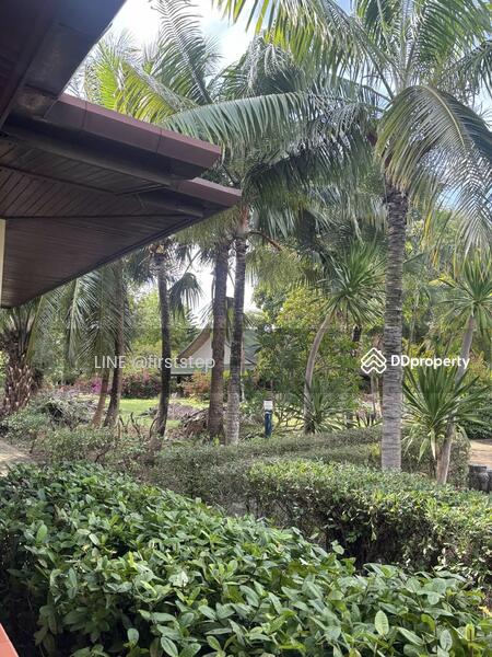 ขาย - ที่ดินพร้อมรีสอร์ท ภูเก็ต ฉลอง ราไวย์ พื้นที่ 3.5 ไร่ เข้าออกได้หลายทาง, ภูเก็ต