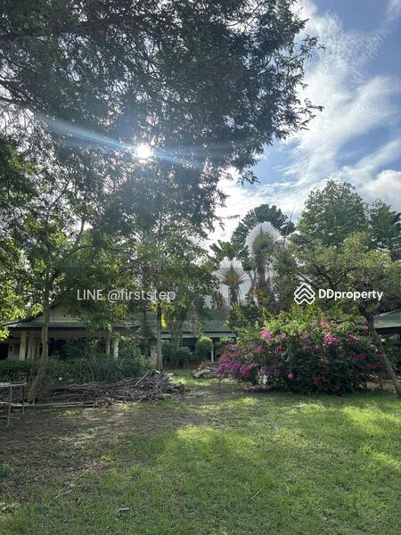 ขาย - ที่ดินพร้อมรีสอร์ท ภูเก็ต ฉลอง ราไวย์ พื้นที่ 3.5 ไร่ เข้าออกได้หลายทาง, ภูเก็ต
