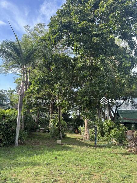 ขาย - ที่ดินพร้อมรีสอร์ท ภูเก็ต ฉลอง ราไวย์ พื้นที่ 3.5 ไร่ เข้าออกได้หลายทาง, ภูเก็ต