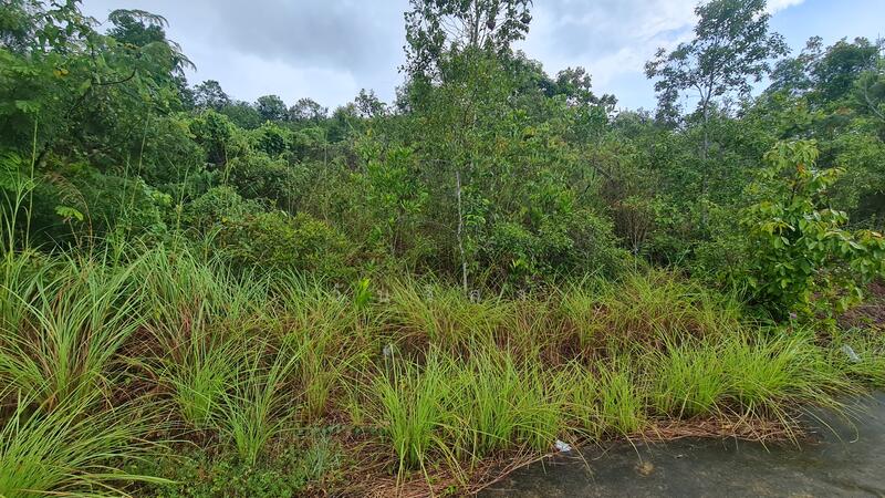 For Sale - ถนนกาญจนวนิช-ทุ่งโดน ตำบลคอหงส์ อำเภอหาดใหญ่ จังหวัดสงขลา, Songkhla